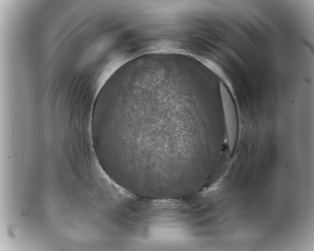 X0000101190863200807071313