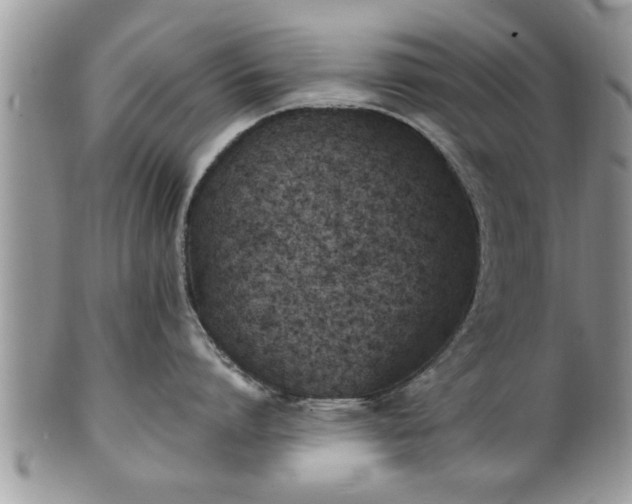 X0000101190864200807071313