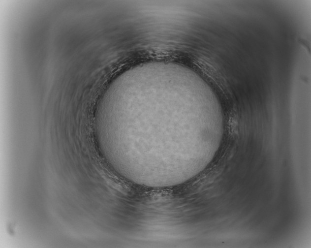 X0000101190865200807071312