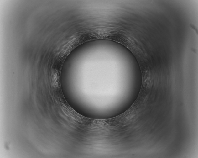 X0000101190866200807071312
