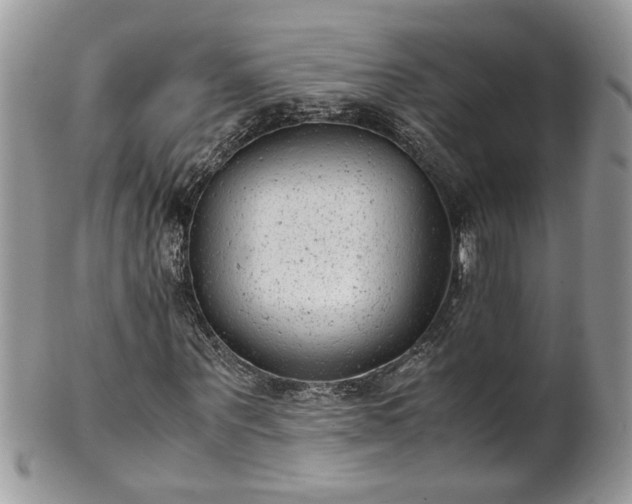 X0000101190867200807071312