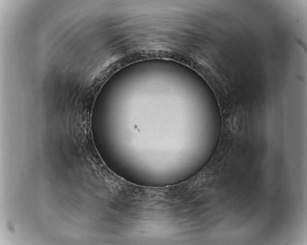 X0000101190870200807071312