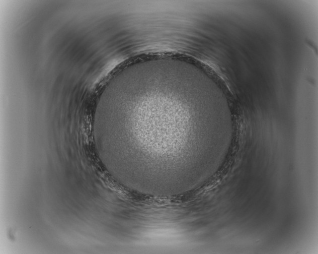 X0000101190871200807071312