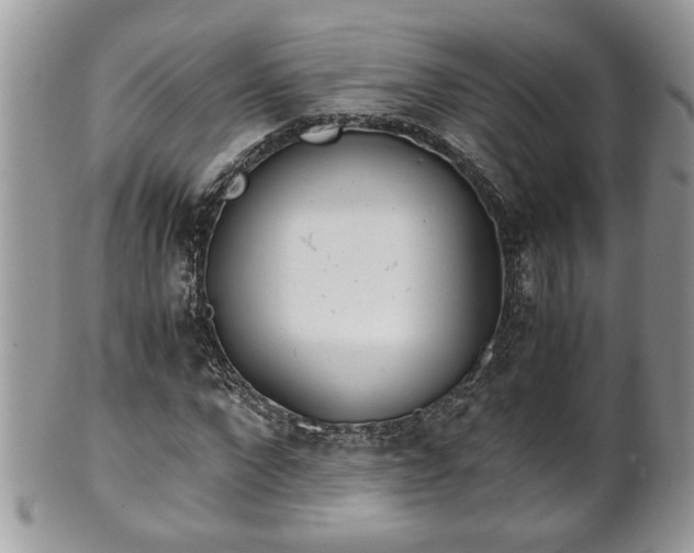 X0000101190872200807071312