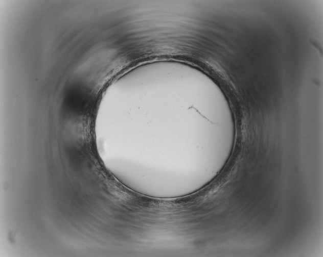 X0000101190873200807071312