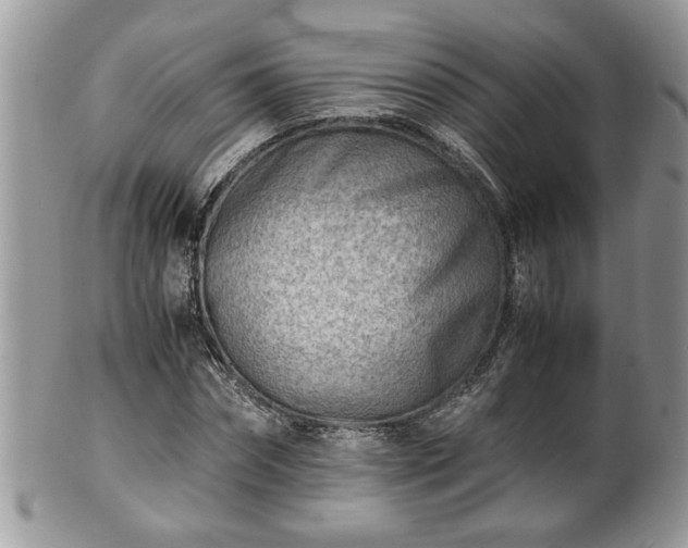 X0000101190874200807071312