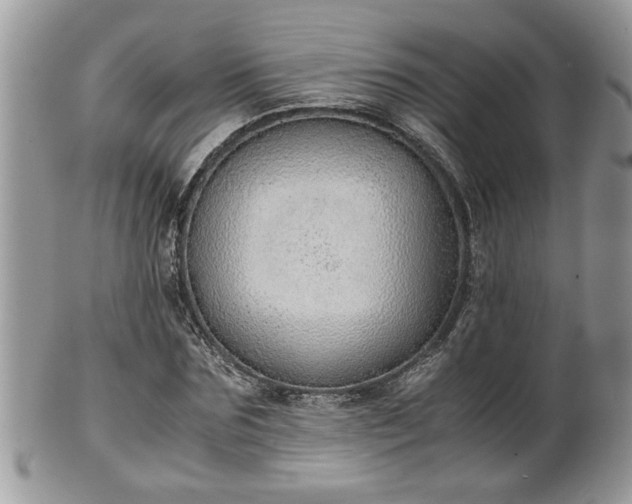 X0000101190875200807071312