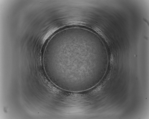X0000101190877200807071312