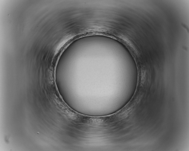 X0000101190878200807071312