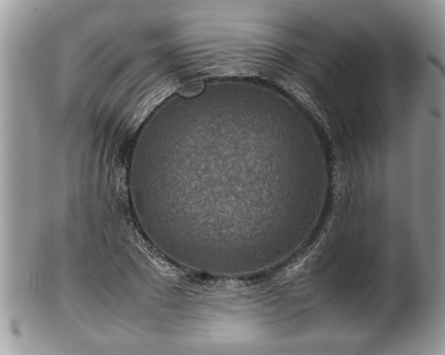 X0000101190881200807071312