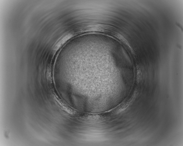 X0000101190882200807071312