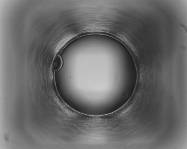 X0000101190885200807071312