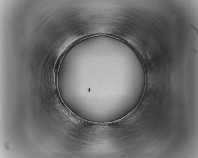X0000101190886200807071312