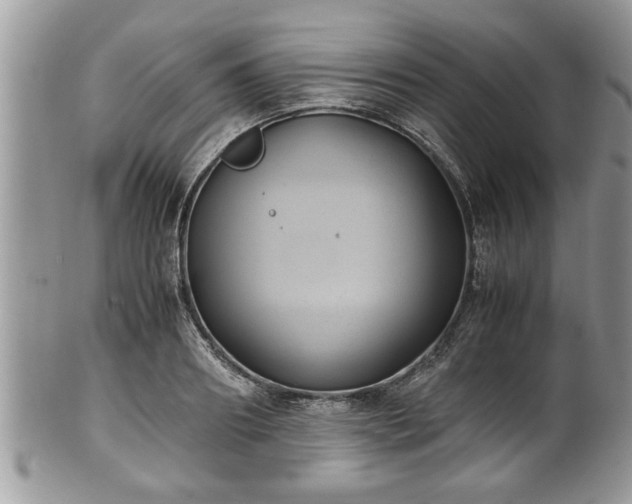 X0000101190890200807071312