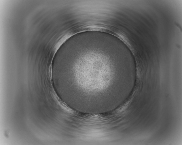 X0000101190891200807071312