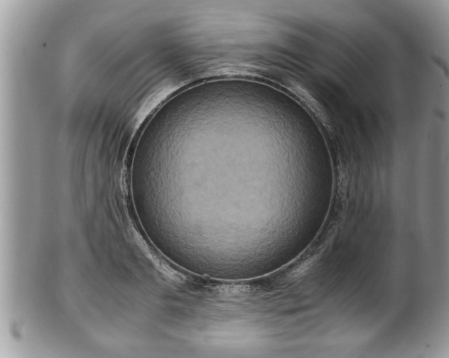 X0000101190893200807071312