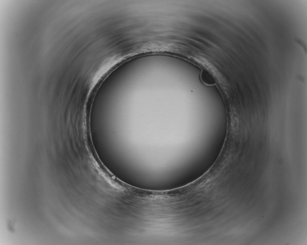 X0000101190894200807071311