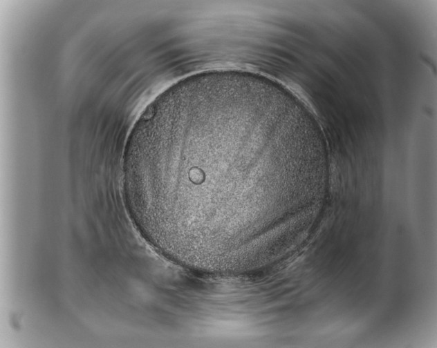X0000101190895200807071311