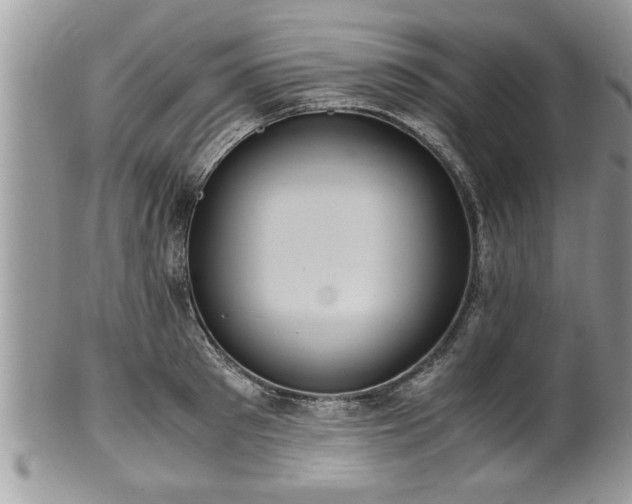 X0000101190897200807071311