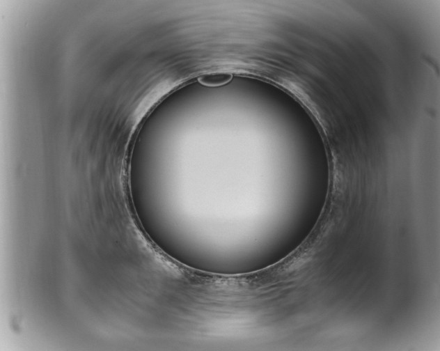 X0000101190901200807071311