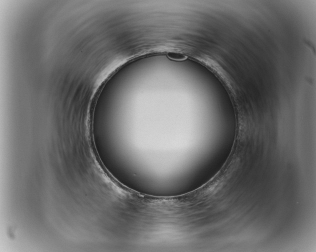 X0000101190902200807071311