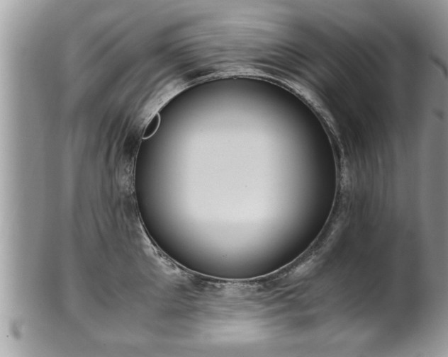 X0000101190905200807071311