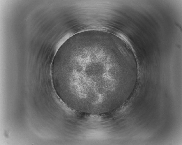 X0000101190907200807071311
