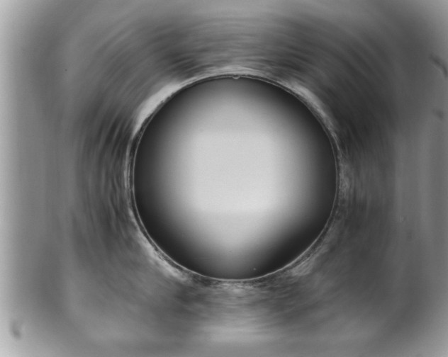 X0000101190910200807071311