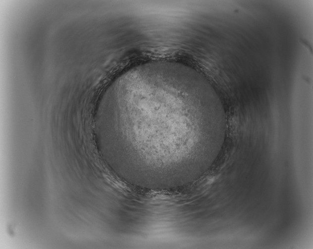 X0000101190913200807071310