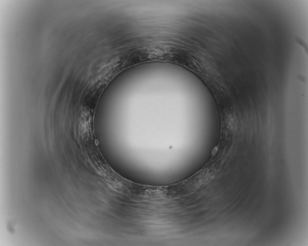 X0000101190914200807071310