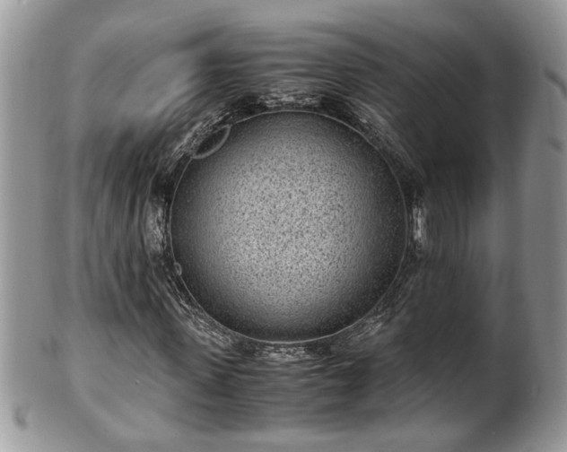 X0000101190915200807071310
