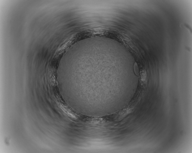 X0000101190916200807071310