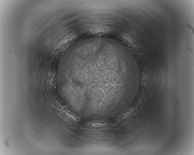 X0000101190917200807071310