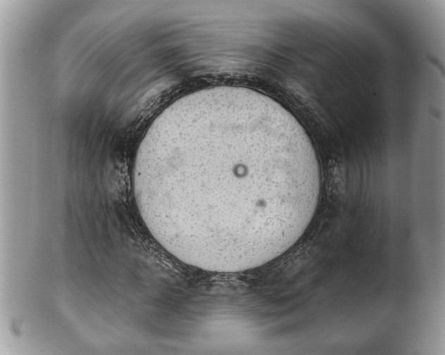 X0000101190918200807071311
