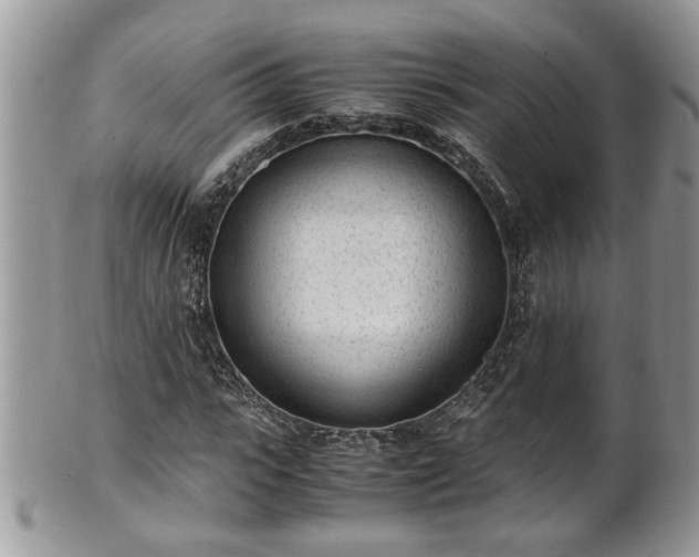 X0000101190919200807071311