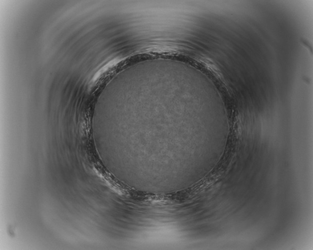 X0000101190920200807071311