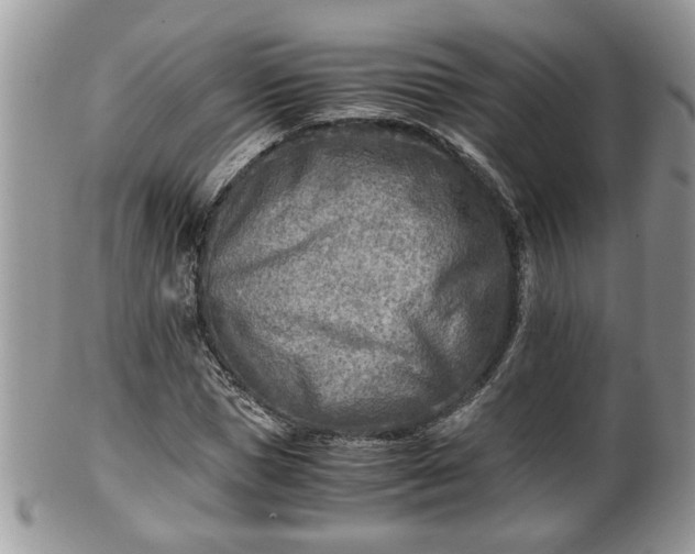 X0000101190921200807071311