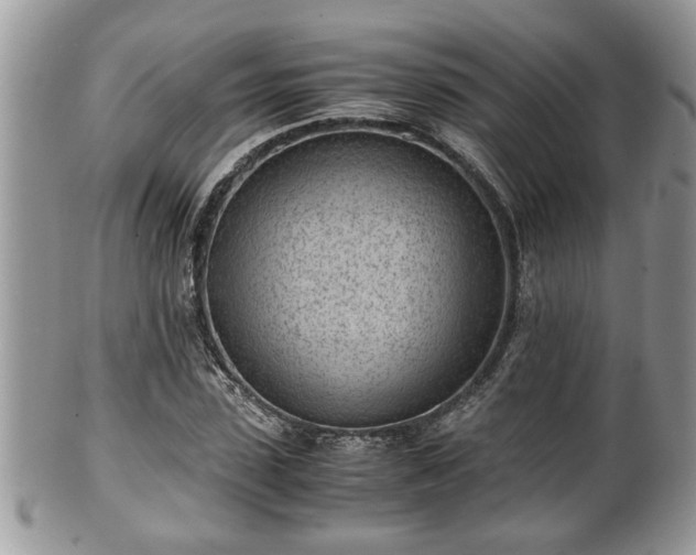 X0000101190923200807071311