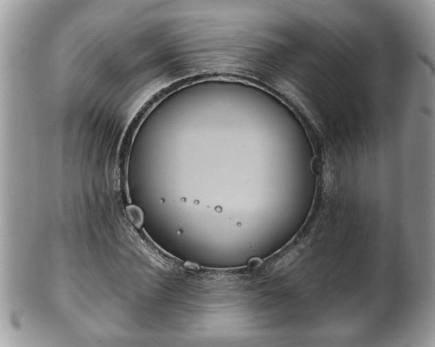 X0000101190924200807071311