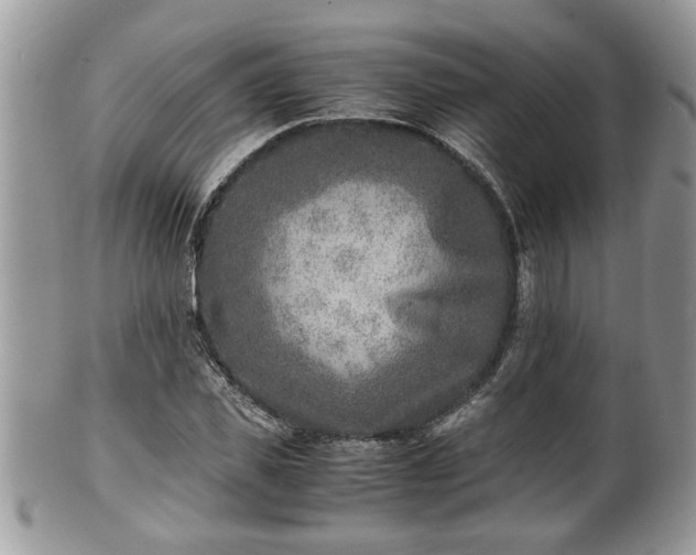 X0000101190925200807071311
