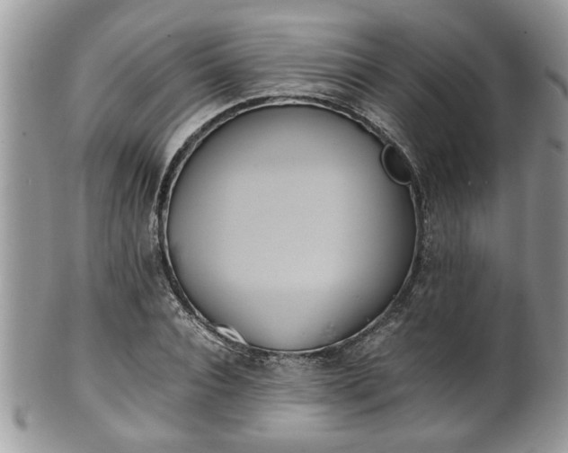 X0000101190928200807071311