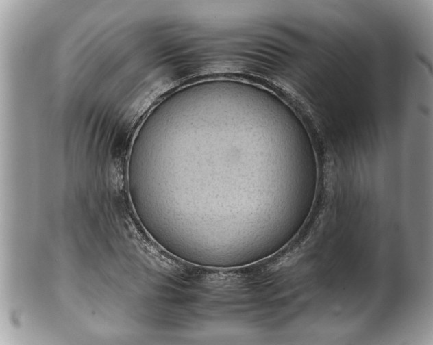 X0000101190929200807071311