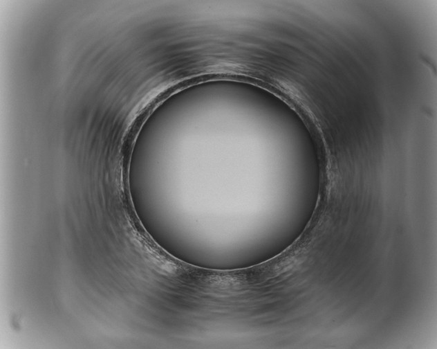 X0000101190931200807071311