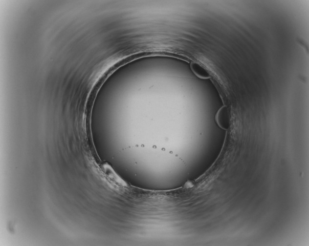 X0000101190932200807071311