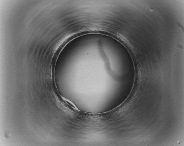 X0000101190934200807071311