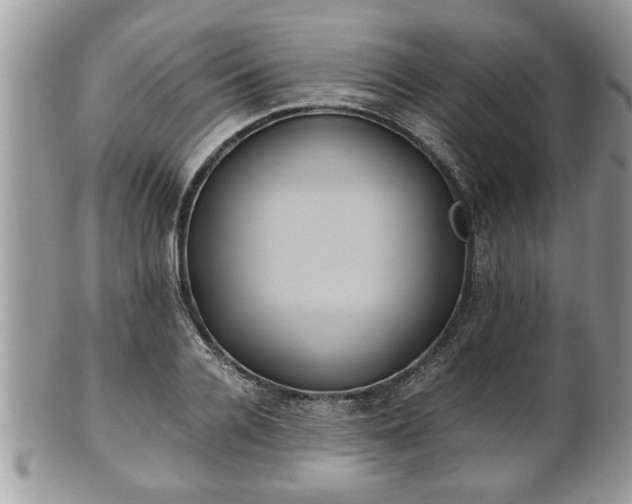 X0000101190936200807071311