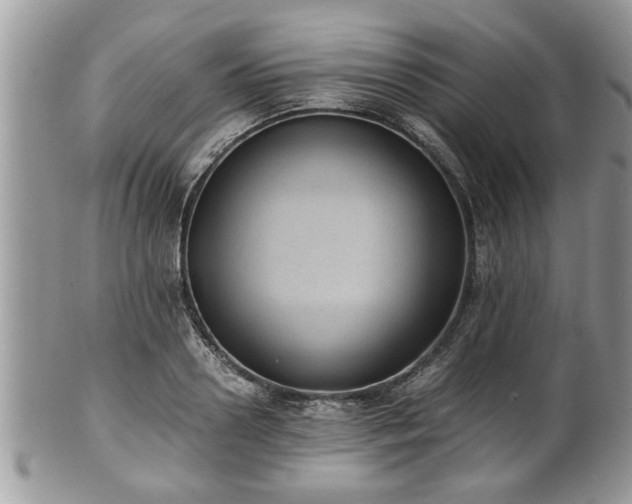 X0000101190938200807071311
