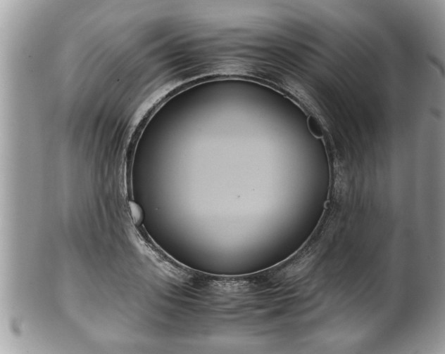 X0000101190939200807071311