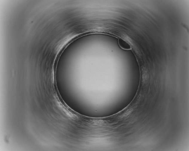X0000101190940200807071311