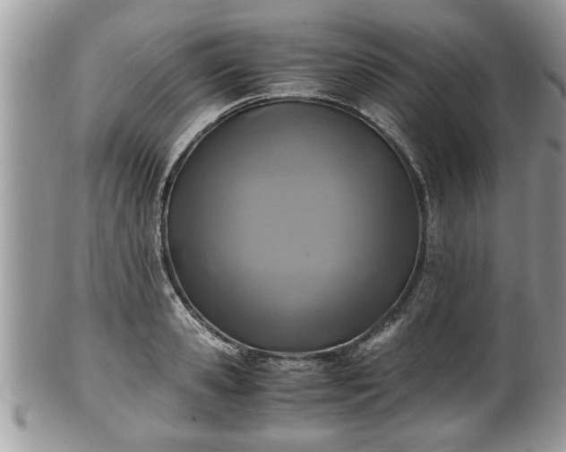 X0000101190941200807071311